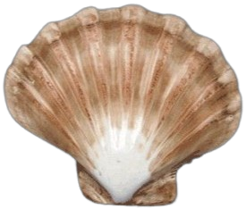 seashell clicker button